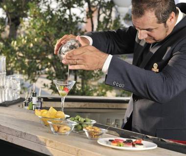 Hotel Mecenate Palace