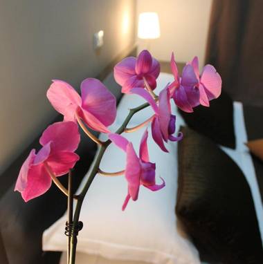 InnVatican Guest House