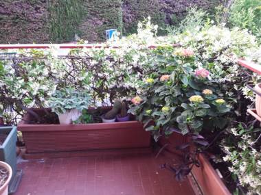 La Fontana di Carlotta