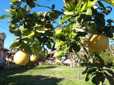 B&B Il Giardino di Gabri