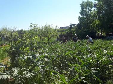 B&B Il Giardino di Gabri