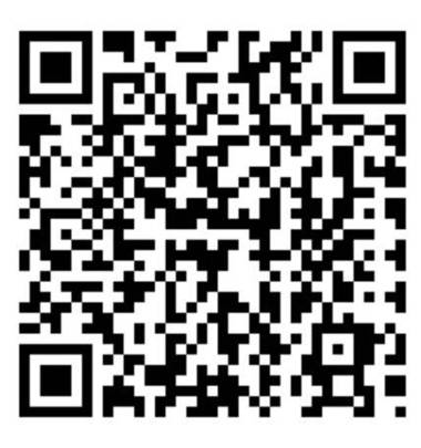 Domus Regina Colosseo