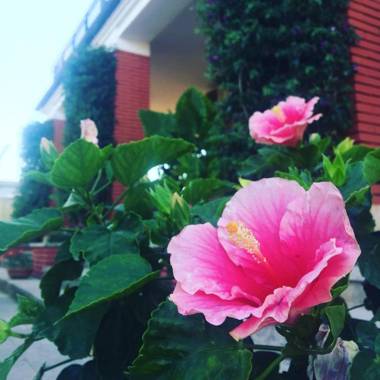 Residenza Campus Roma