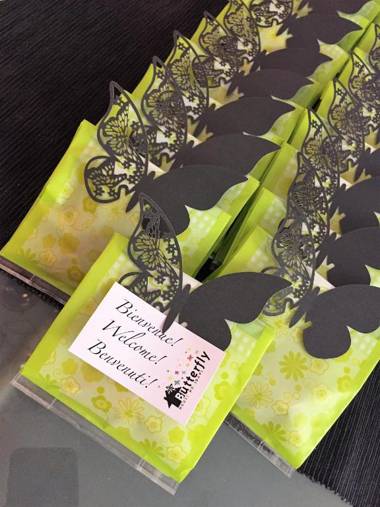 GREEN butterfly house holiday