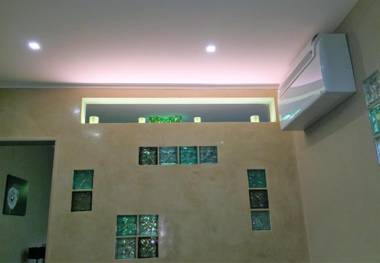 GREEN butterfly house holiday