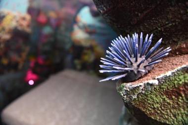 MagicSuite Guest House Roma Portuense