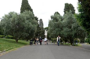 MECENATE DELUXE COLOSSEUM