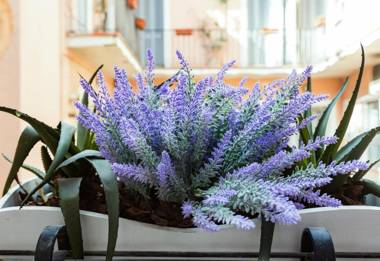 BBHOMEROME - Spanish Steps View Luxury Flat