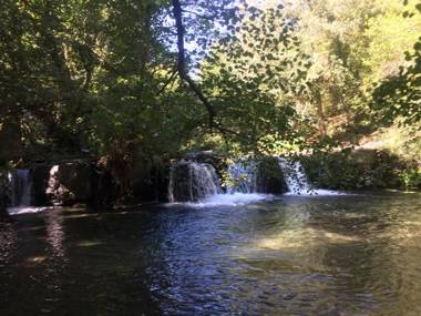 Galeria Home Apartments