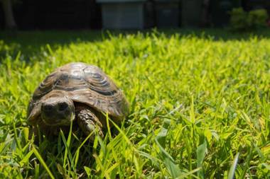 A casa tua Ostia Antica