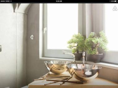 Bonsai Navona Deluxe