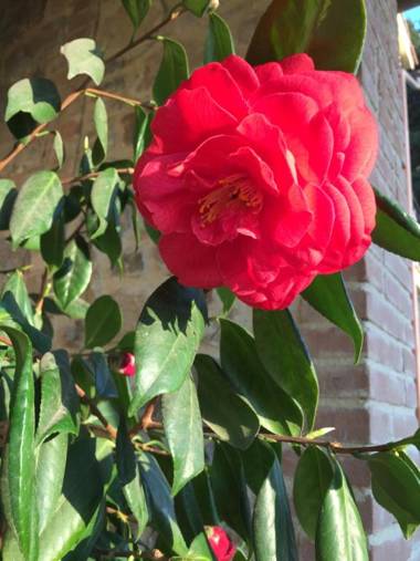 Agriturismo Podere Micitto