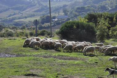 Agriturismo La Colombera in Toscana