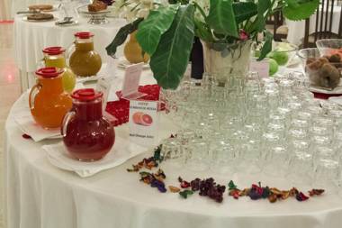 Hotel Panama Majestic