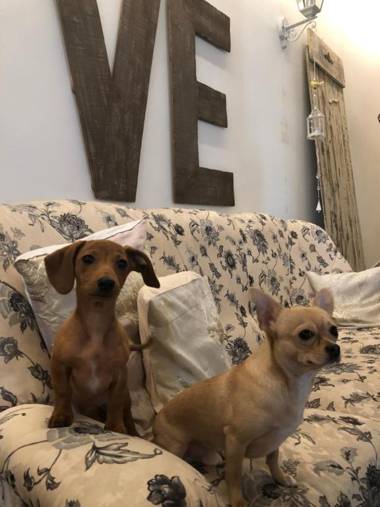 Hotel Garisenda -B&B & Brunch in centro a Riccione-