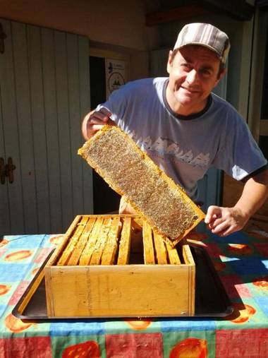 BeeLiving Room&Breakfast