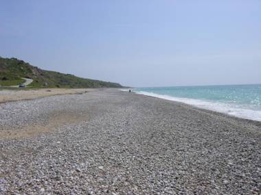 L'agave E La Palma Nana