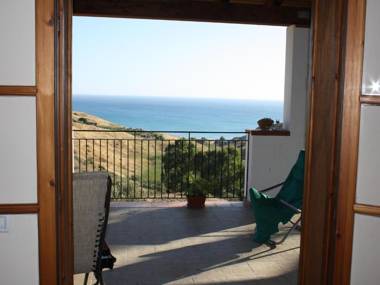 L'agave E La Palma Nana