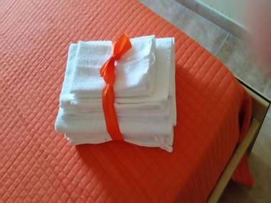 L'agave E La Palma Nana