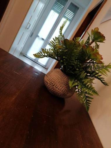 Guest House Tricolore