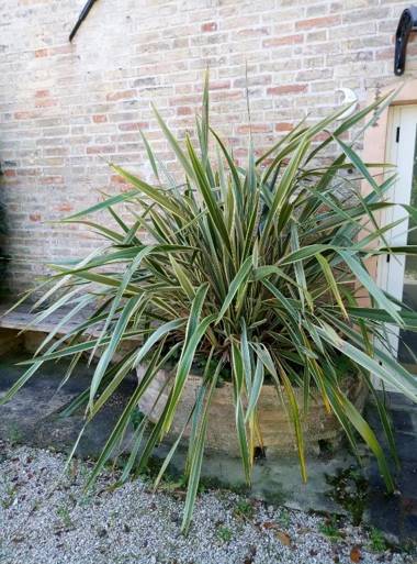 La Casa di Tara B&B Armonia e Natura