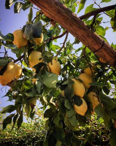 Ravello Views Apartment