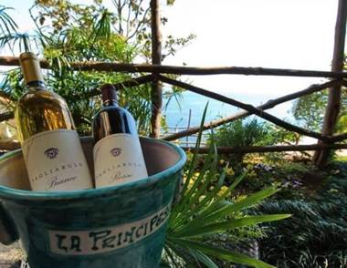 Villa Principessa - Sea Access Pool Sea View - Amalfivacation