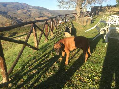 Camere e Appartamenti Baldini Romanita