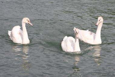 Borgo Cà dei Sospiri
