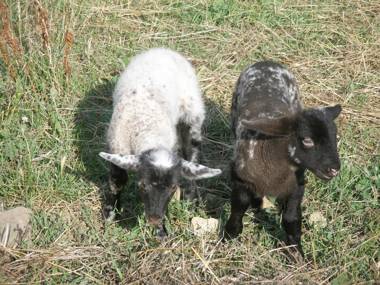 Agriturismo Podere Fiume