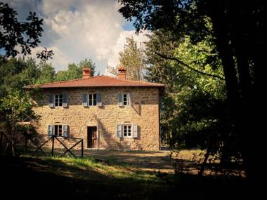 Blissful Holiday Home in Pratovecchio with Swimming Pool