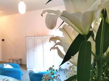 Hotel TEA - Praia a Mare