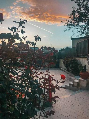 bed & breakfast LIPI