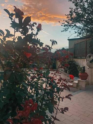 bed & breakfast LIPI