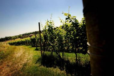 COBUE "Wine resort & Spa"