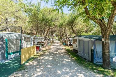 Camping La Pineta