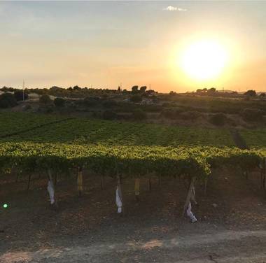 Agriturismo La Casa di Bacco