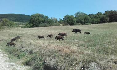 Agriturismo La Casa Bianca