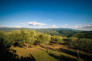 Podere Belvedere Tuscany