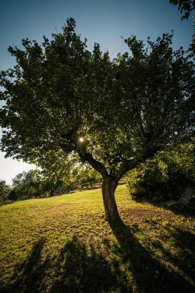 Podere Belvedere Tuscany