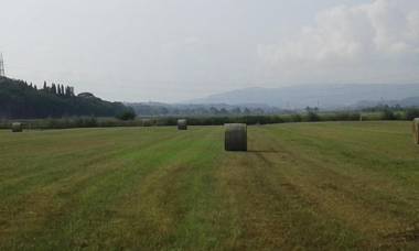 Alice's room by Casolare Isabella