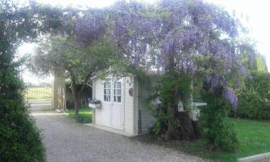 Alice's room by Casolare Isabella