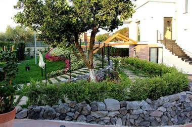 Resort & Winery Bosco De Medici