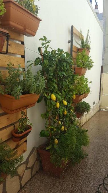 V&V Suite & Breakfast