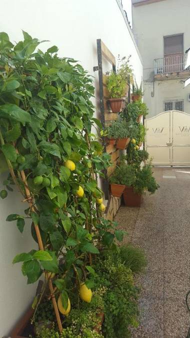 V&V Suite & Breakfast