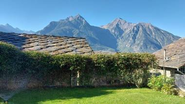 Le Chaton Fait Ronron