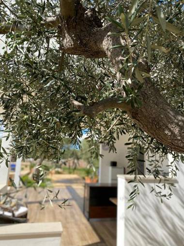 PUGLIAHOLIDAYPLUS-La Torretta