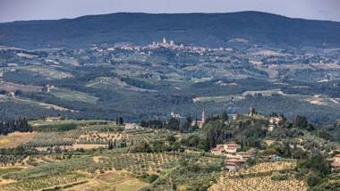 Tenuta di Macericca 10