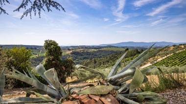 Tenuta di Macericca 10