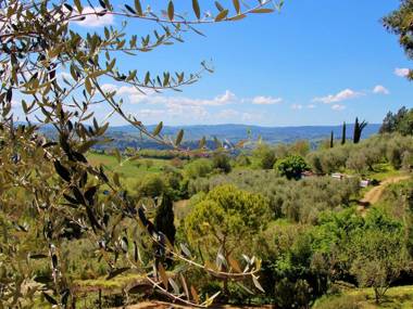 Enjoy the Tuscan landscape in a farmhouse with pool and wifi  